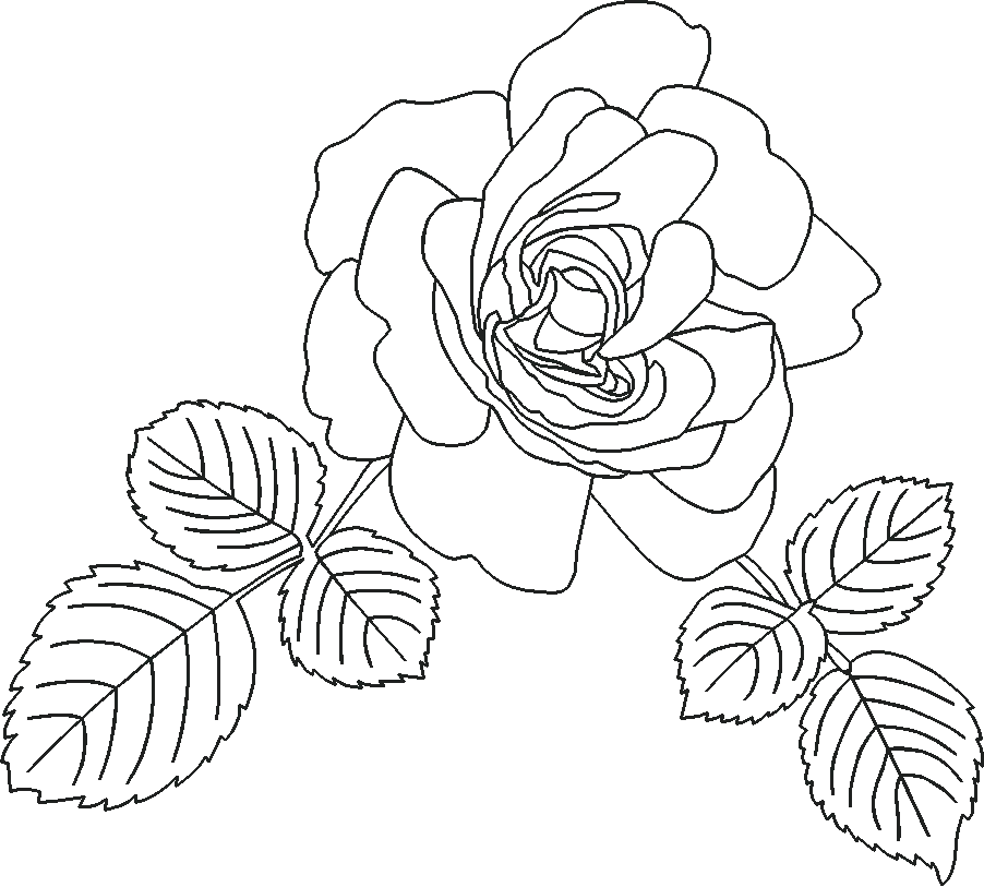 Beautiful-Rose-with-Leaves-7564093