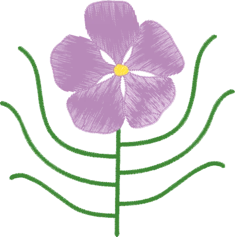 Byblis-Gigantea-Australian-Flower-11962800