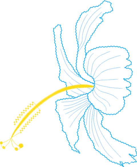 Charming-Hibiscus-4437441