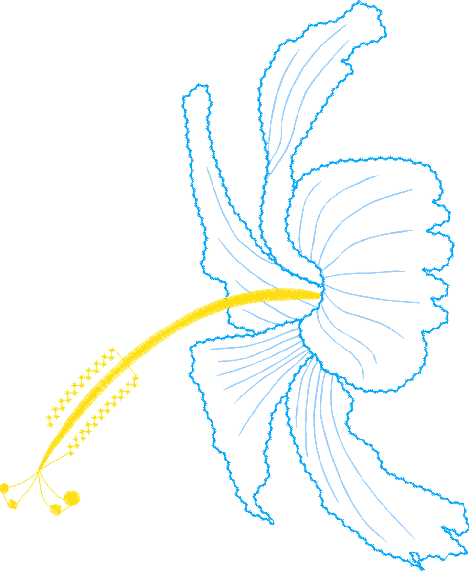 Charming-Hibiscus-4437441