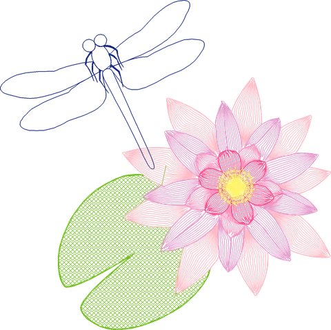 Dragonfly-and-Water-Lily-5776679