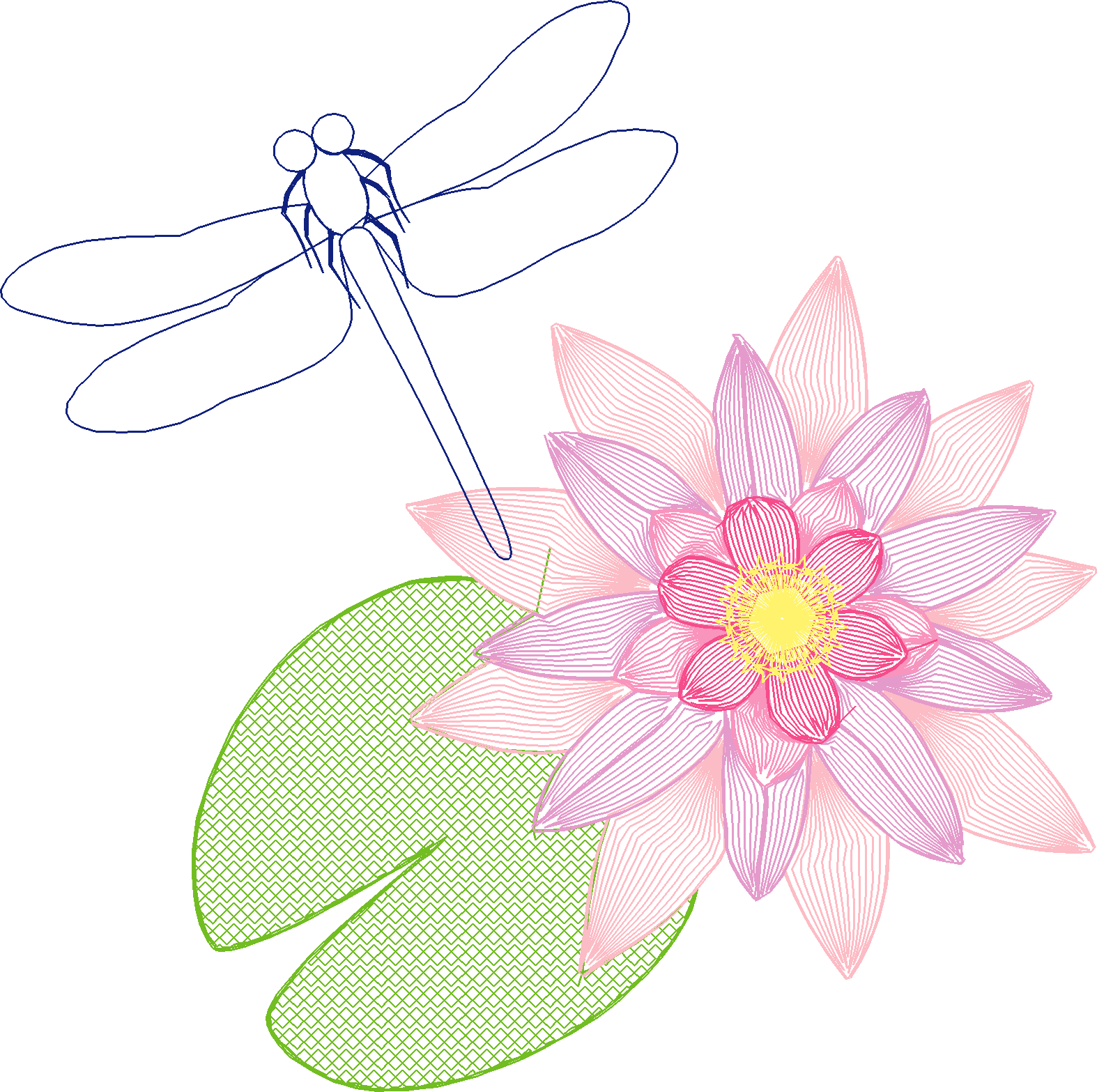 Dragonfly-and-Water-Lily-5776679