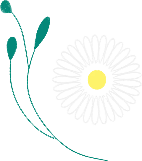 Gentle-Chamomile-Flower-4313419