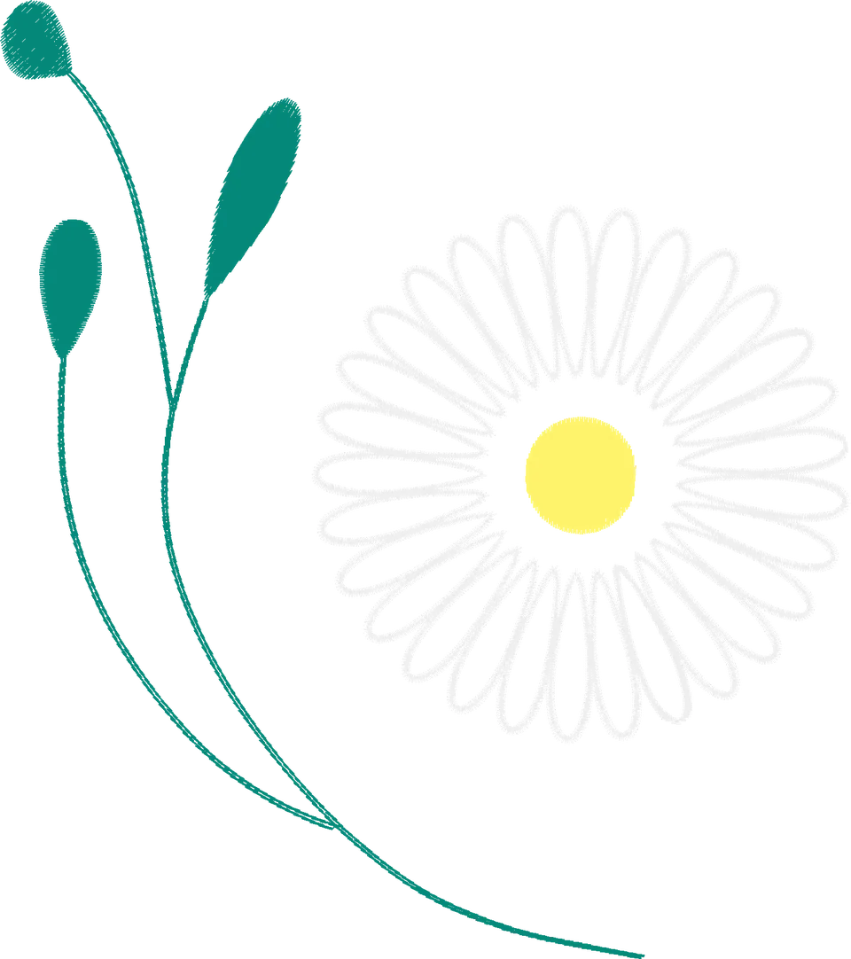 Gentle-Chamomile-Flower-4313419