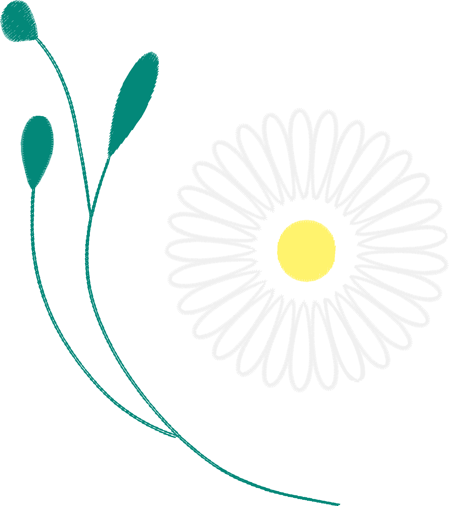 Gentle-Chamomile-Flower-4313419