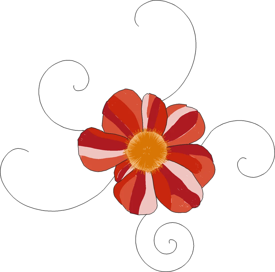 Gerbera-Flower-with-Curls-6680451