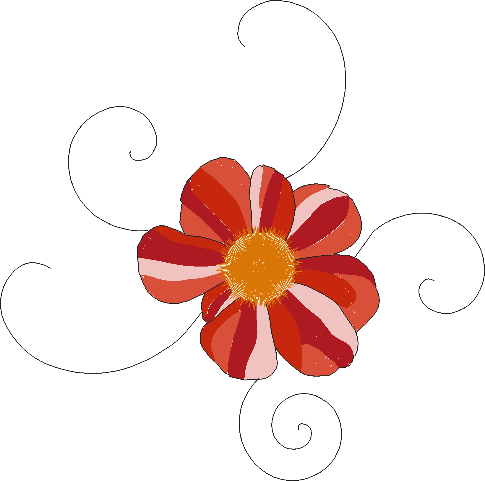 Gerbera-Flower-with-Curls-6680451
