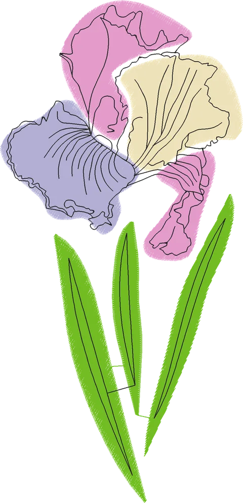 Pastel-Iris-Flower-4576312