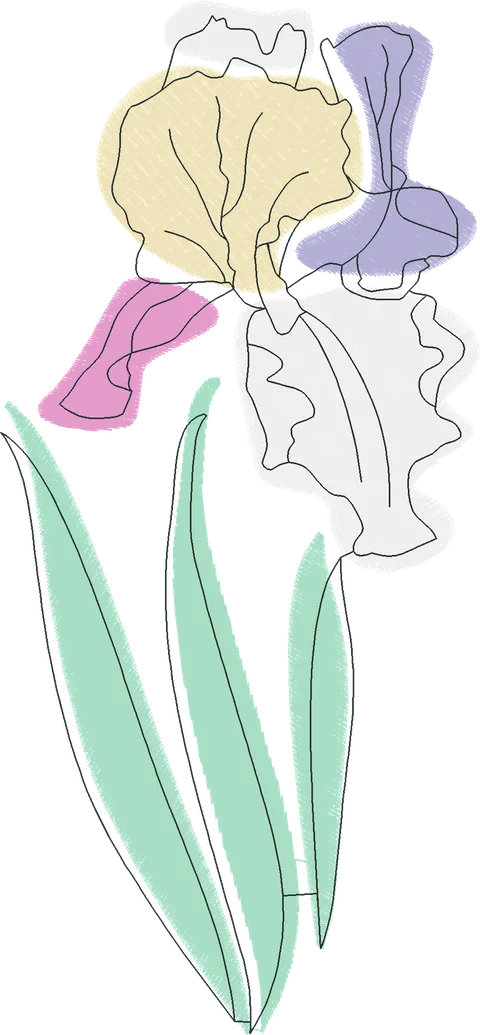 Pastel-and-Line-Art-Iris-5289291