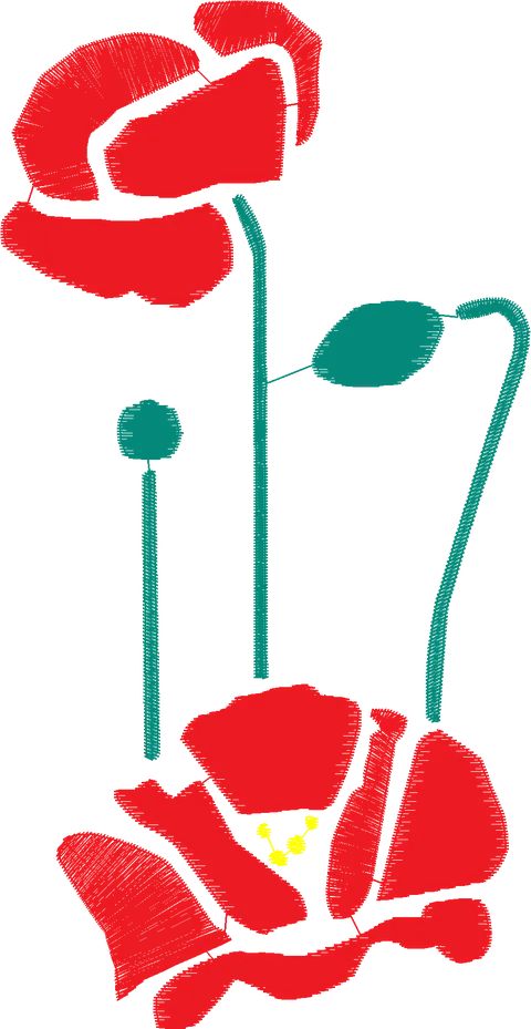 Poppy-Flowers-Flowers-4341643