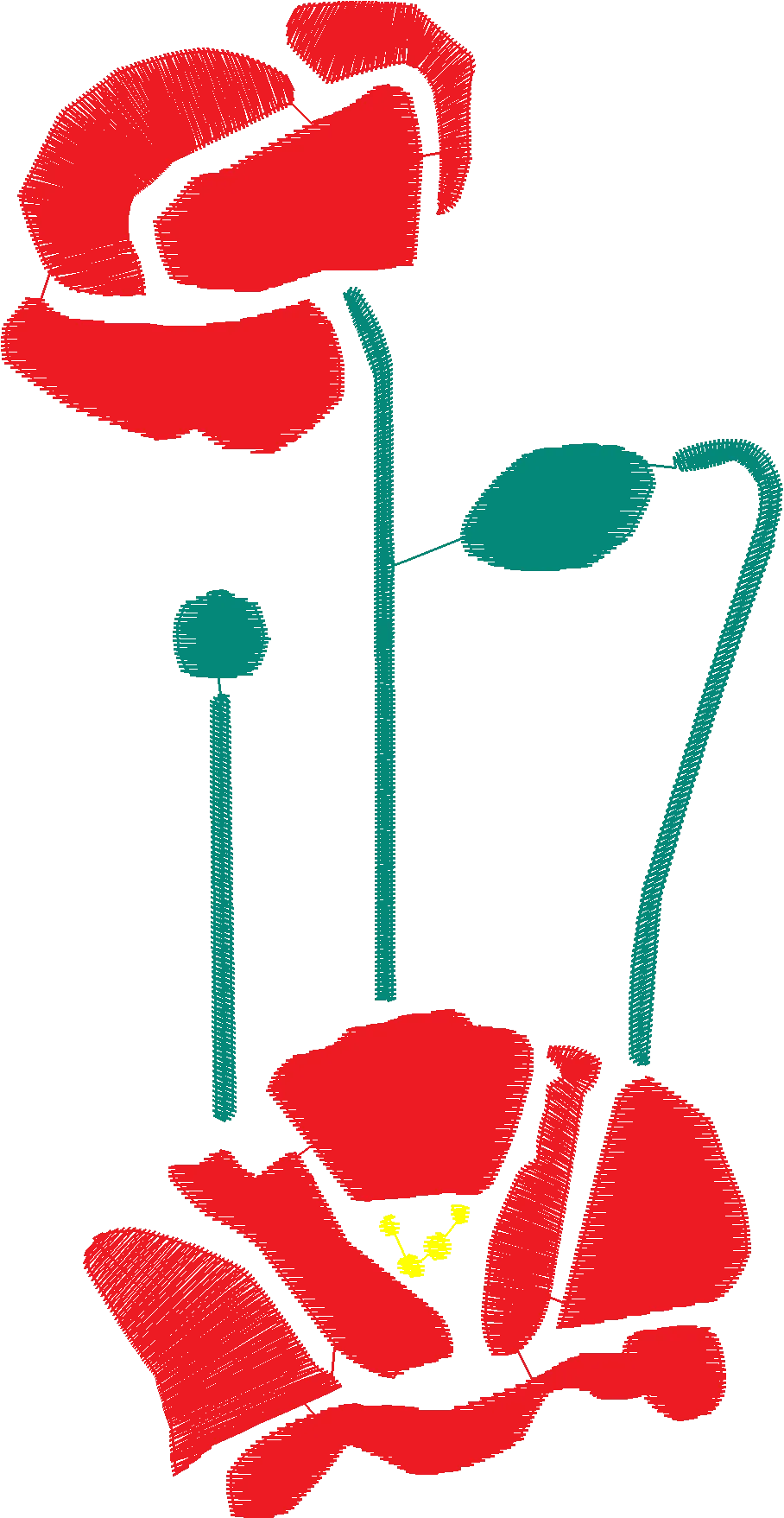 Poppy-Flowers-Flowers-4341643