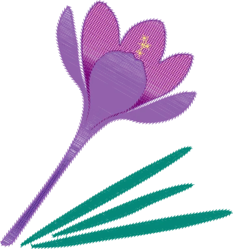 Purple-Crocus-Flower-4266627