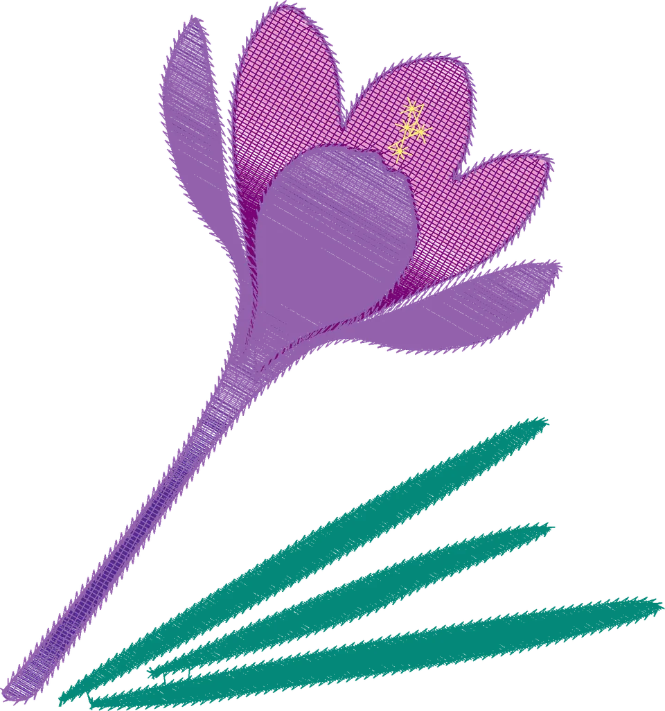 Purple-Crocus-Flower-4266627