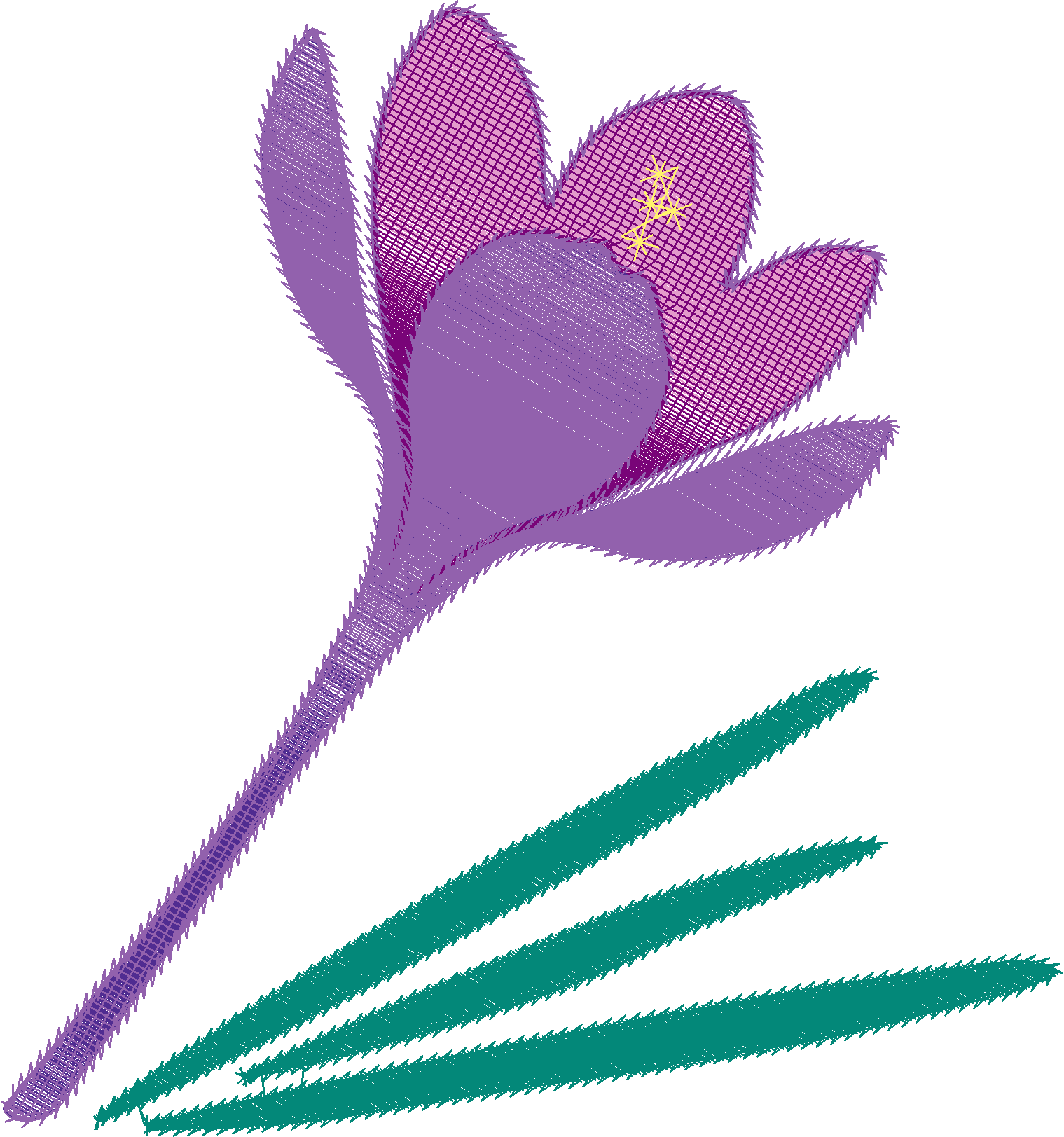 Purple-Crocus-Flower-4266627