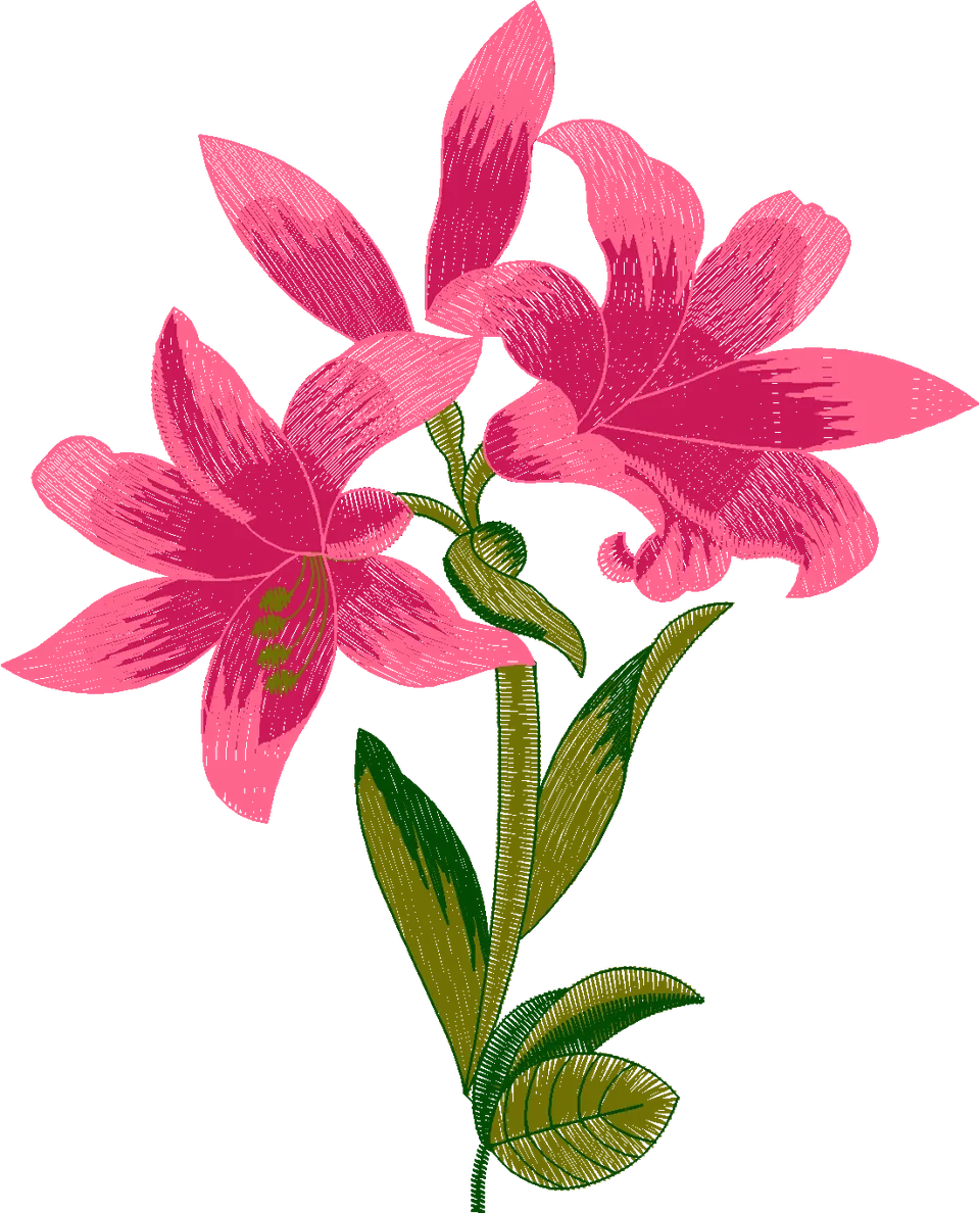 Tulip-Flower-60655528