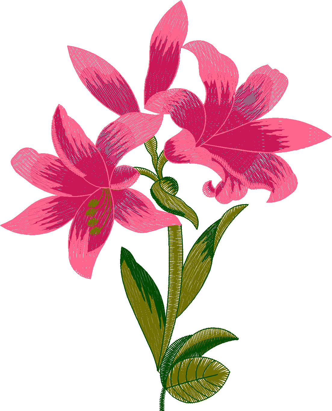 Tulip-Flower-60655528
