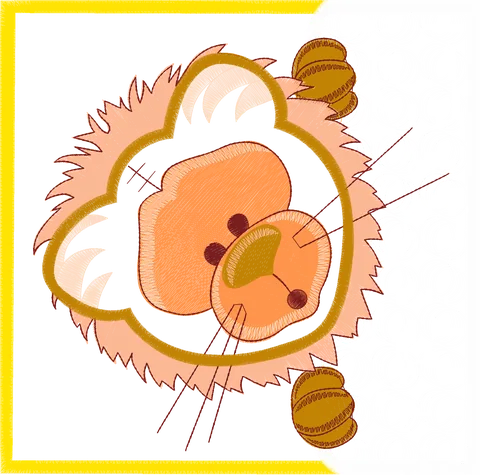 Animais Moldura (16)