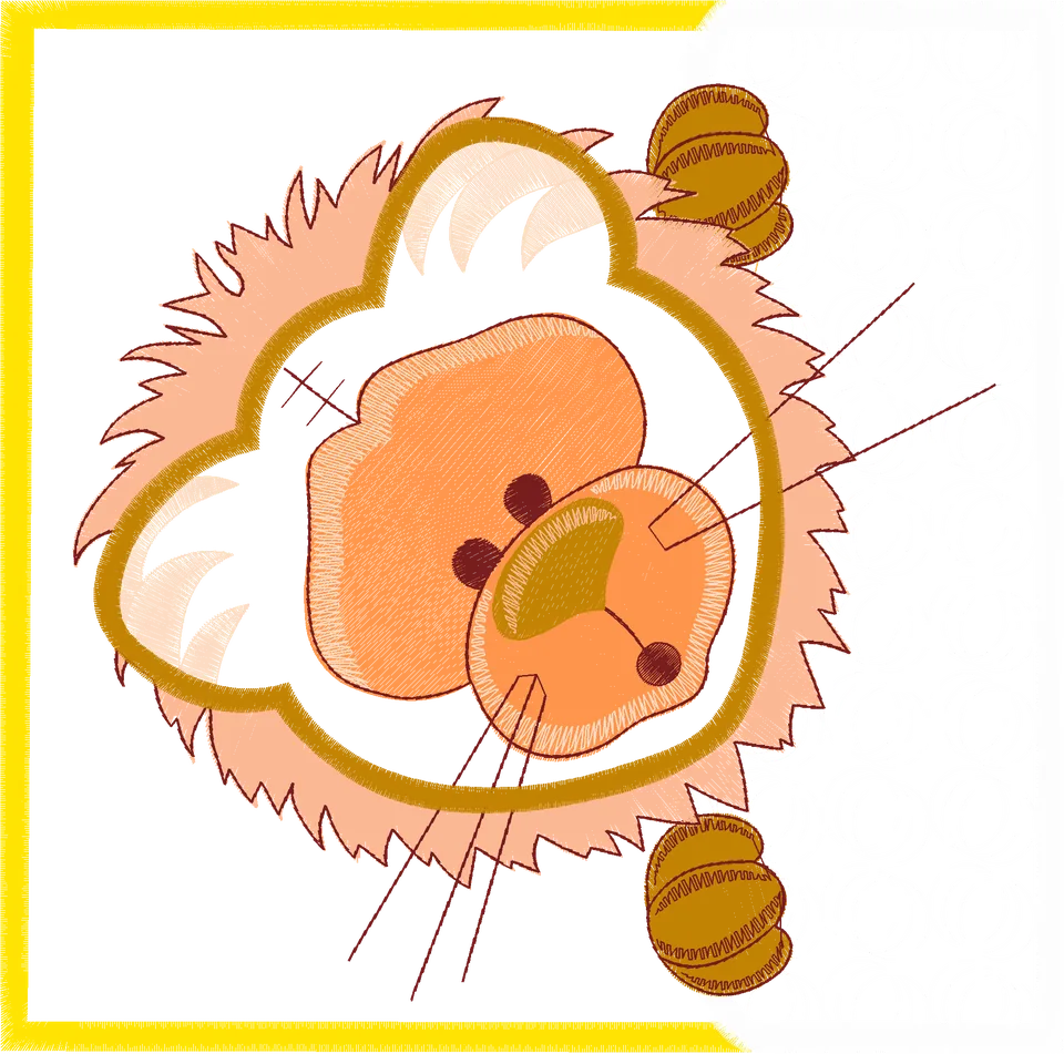 Animais Moldura (16)