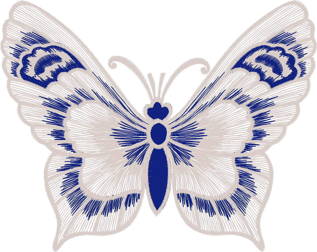 Borboleta (51)
