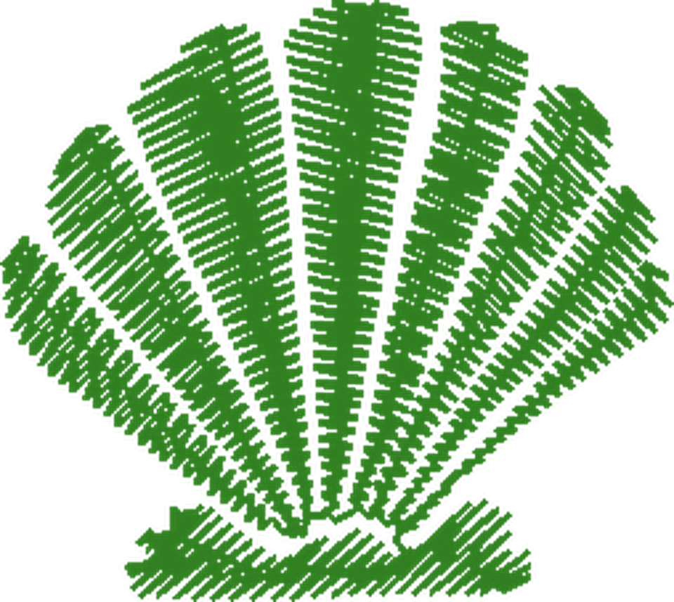 A BELA E A FERA A (1)