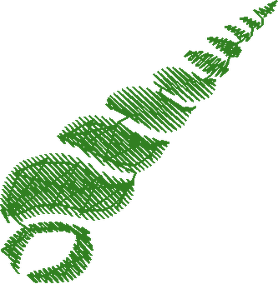 A BELA E A FERA A (47)