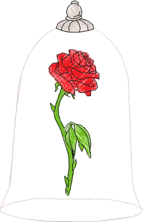 A BELA E A FERA X (41)