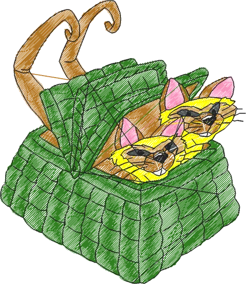 A DAMA E O VAGABUNDO (16)