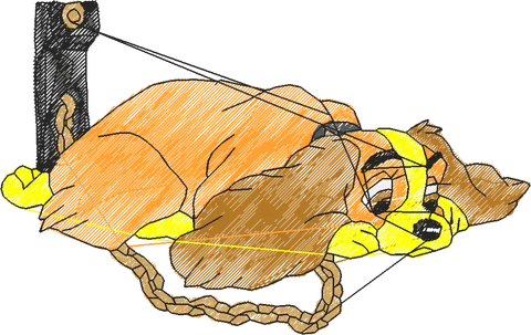 A DAMA E O VAGABUNDO (18)