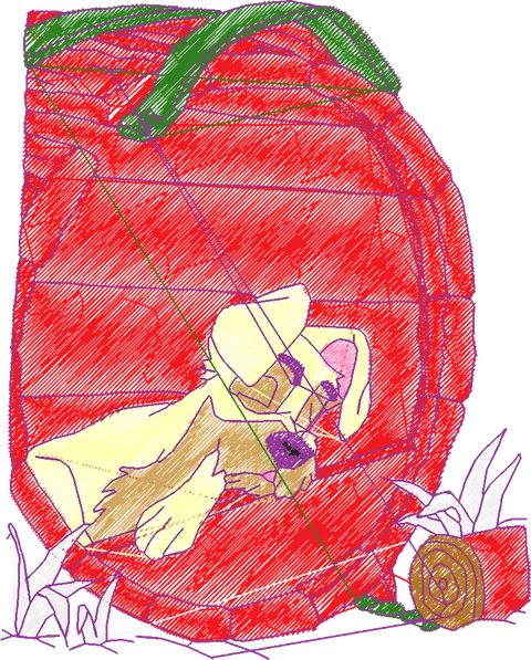 A DAMA E O VAGABUNDO (21)