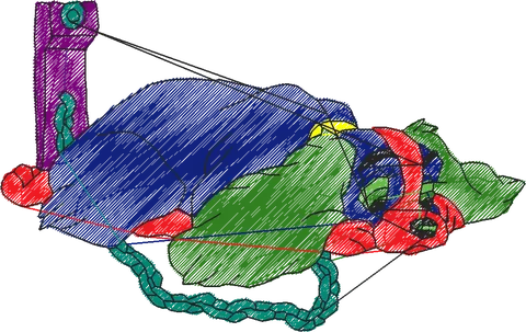 A DAMA E O VAGABUNDO A (18)