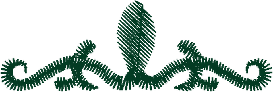 A DAMA E O VAGABUNDO B (15)