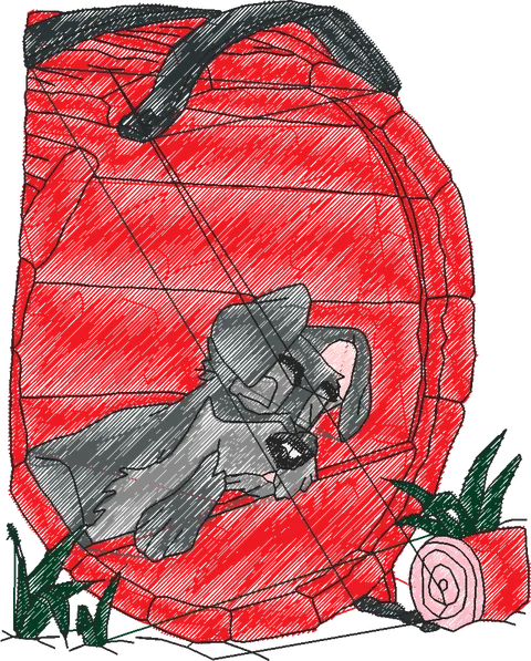 A DAMA E O VAGABUNDO B (34)