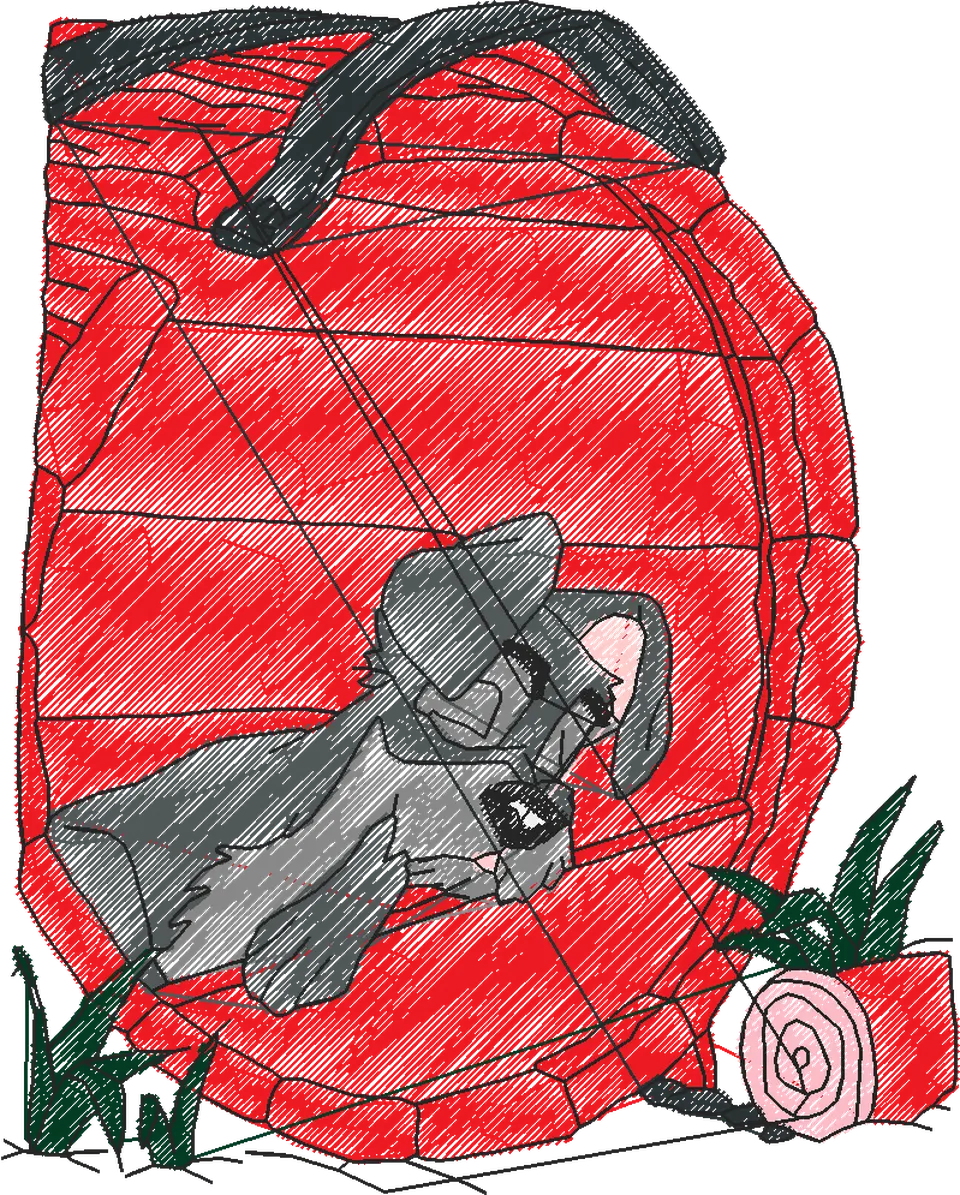 A DAMA E O VAGABUNDO B (34)