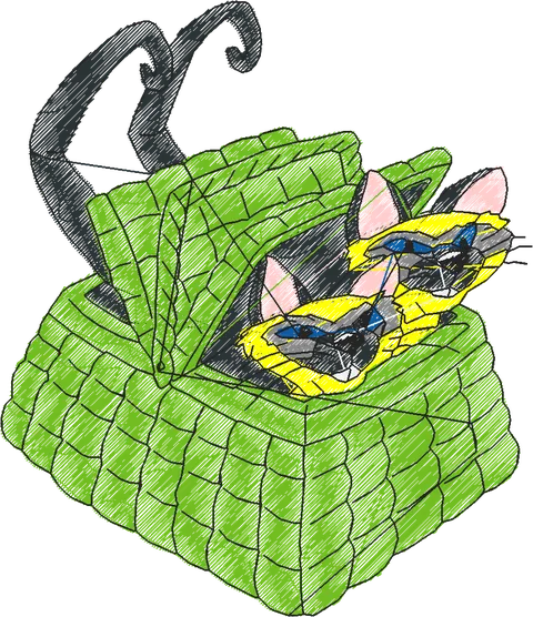 A DAMA E O VAGABUNDO B (62)