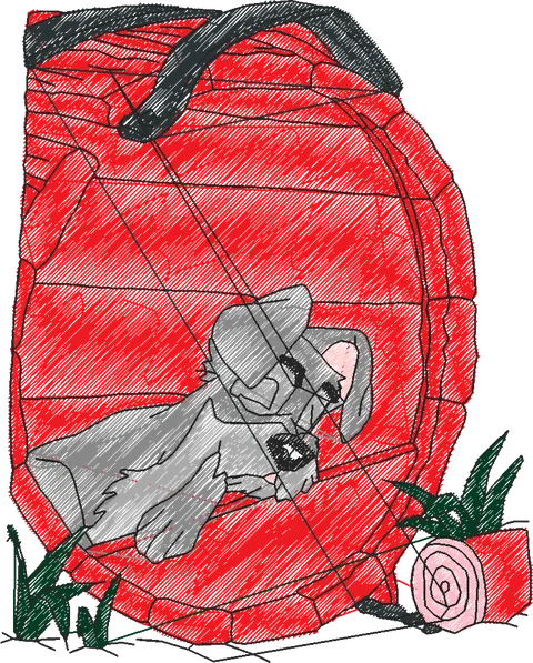 A DAMA E O VAGABUNDO X (30)