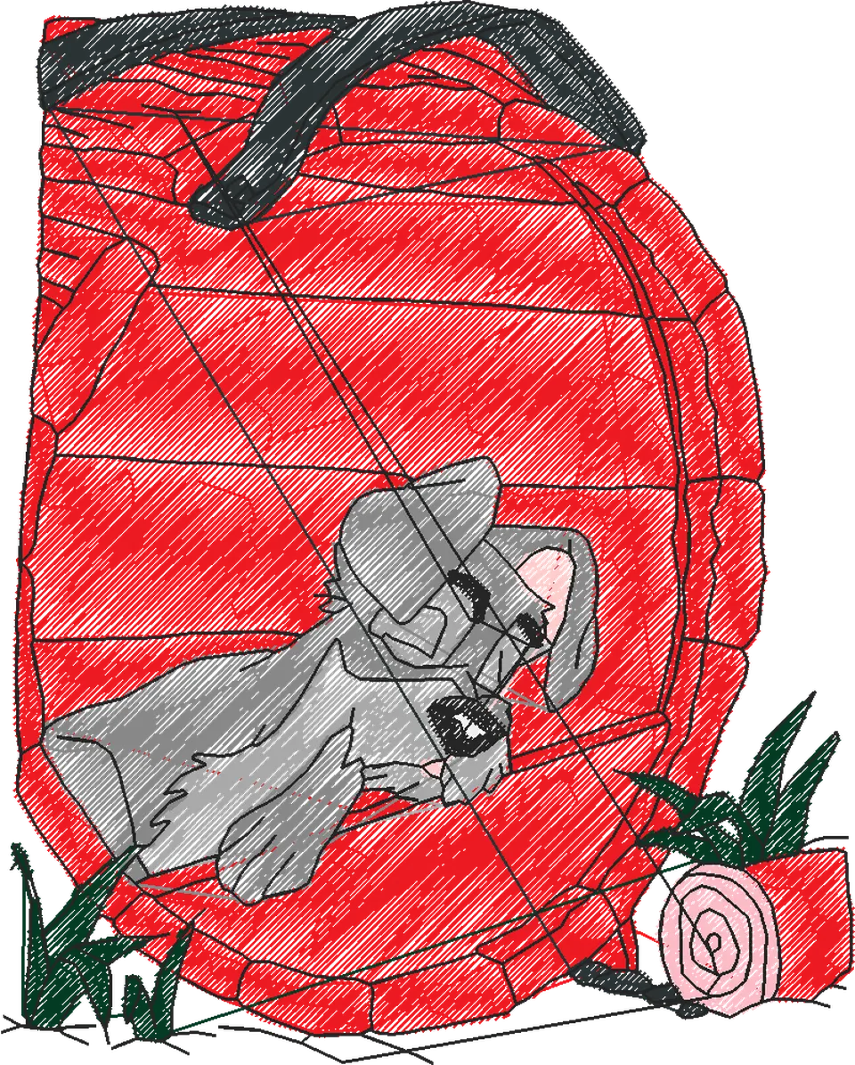 A DAMA E O VAGABUNDO X (30)