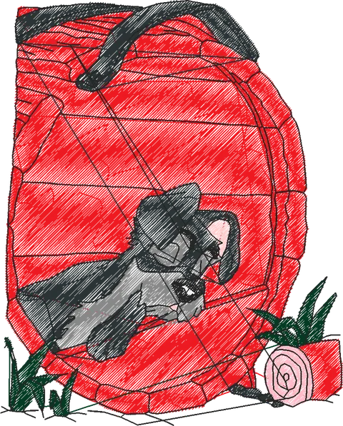 A DAMA E O VAGABUNDO X (48)