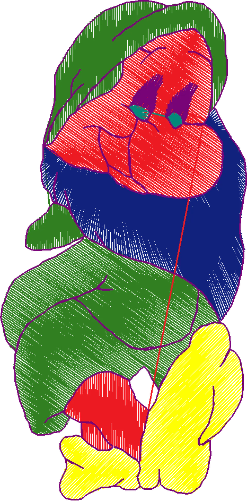 BRANCA DE NEVE A (20)