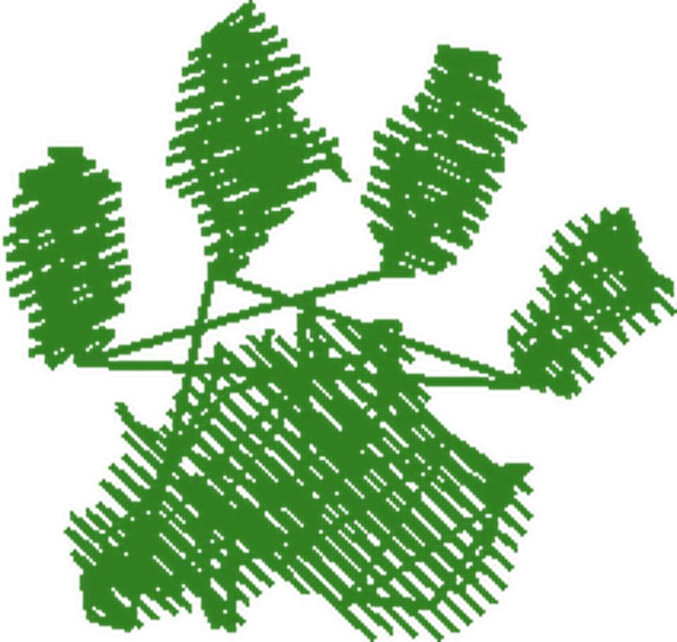 DISNEY VARIADOS A (82)