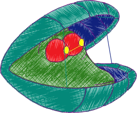 PEQUENA SEREIA A (39)