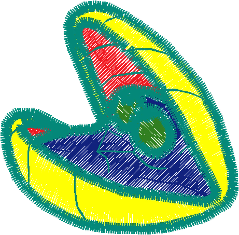 PEQUENA SEREIA A (41)